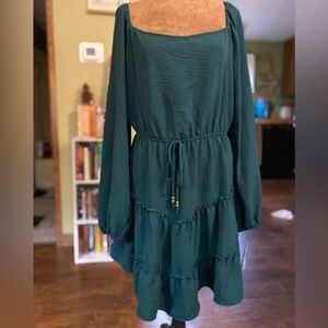 City triangles green long sleeve mini dress NWT